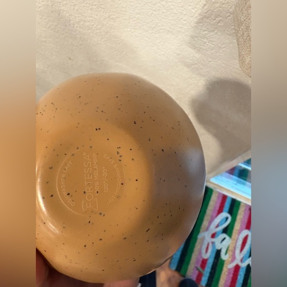 Fortressa Sandia Dashiell Cereal Bowl set of 4 - Picture 5 of 5